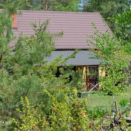 Gospodarstwo agroturystyczne nad jeziorem wśród lasów Lipnica  Zewnętrze zdjęcie