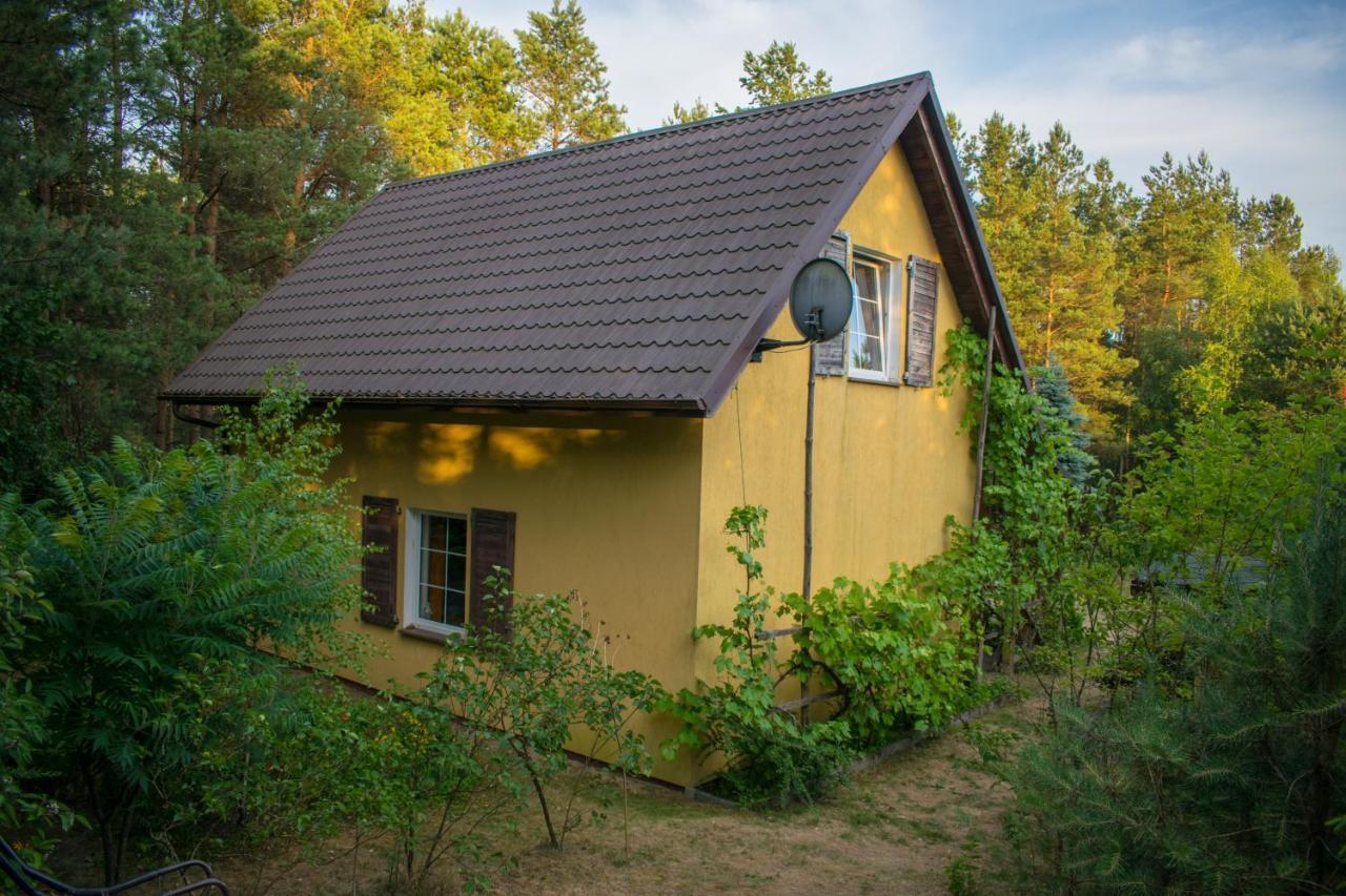 Gospodarstwo agroturystyczne nad jeziorem wśród lasów Lipnica  Zewnętrze zdjęcie