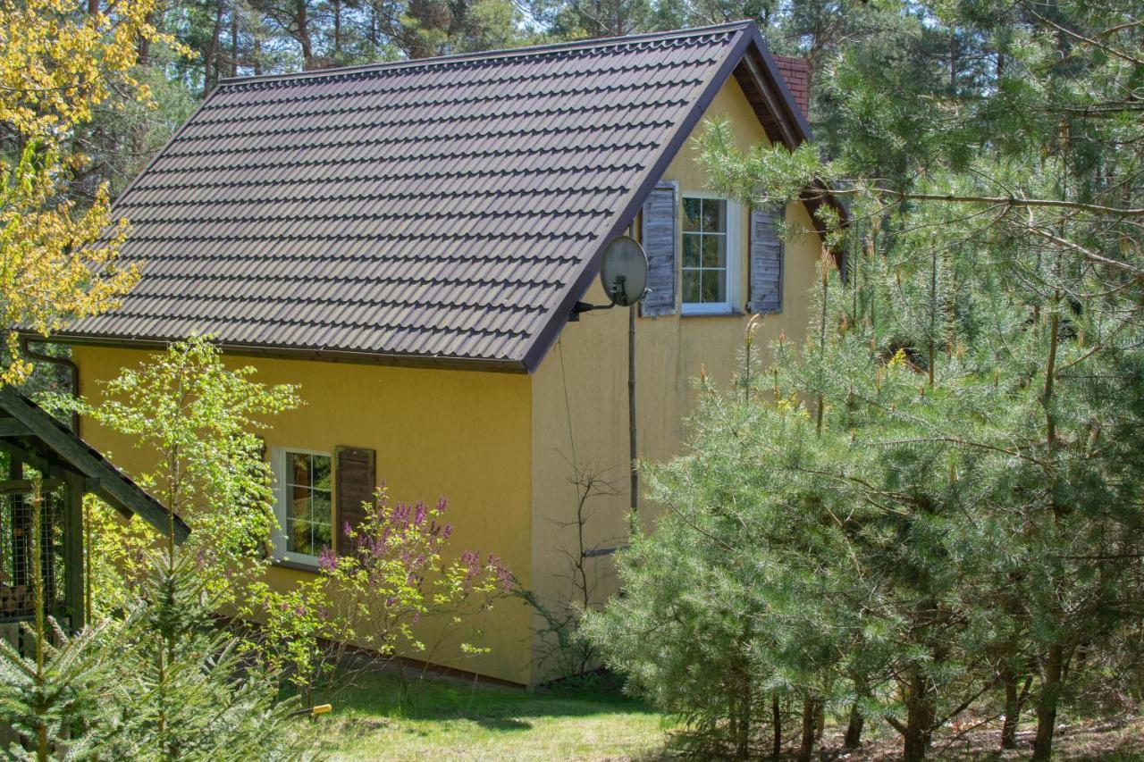 Gospodarstwo agroturystyczne nad jeziorem wśród lasów Lipnica  Zewnętrze zdjęcie