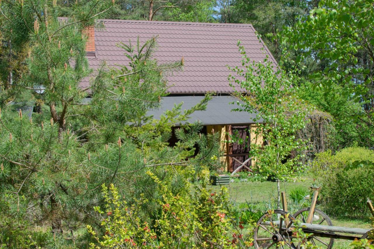 Gospodarstwo agroturystyczne nad jeziorem wśród lasów Lipnica  Zewnętrze zdjęcie