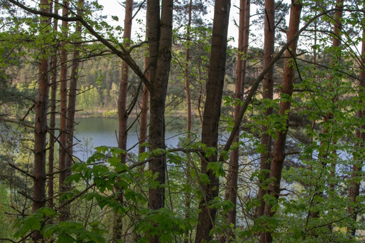 Gospodarstwo agroturystyczne nad jeziorem wśród lasów Lipnica  Zewnętrze zdjęcie